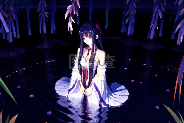 悠然武汉夜，露营品茗好去处